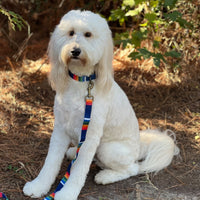 Pendleton National Park Adventure Dog Collar