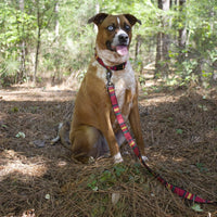 Pendleton National Park Hiker Collar