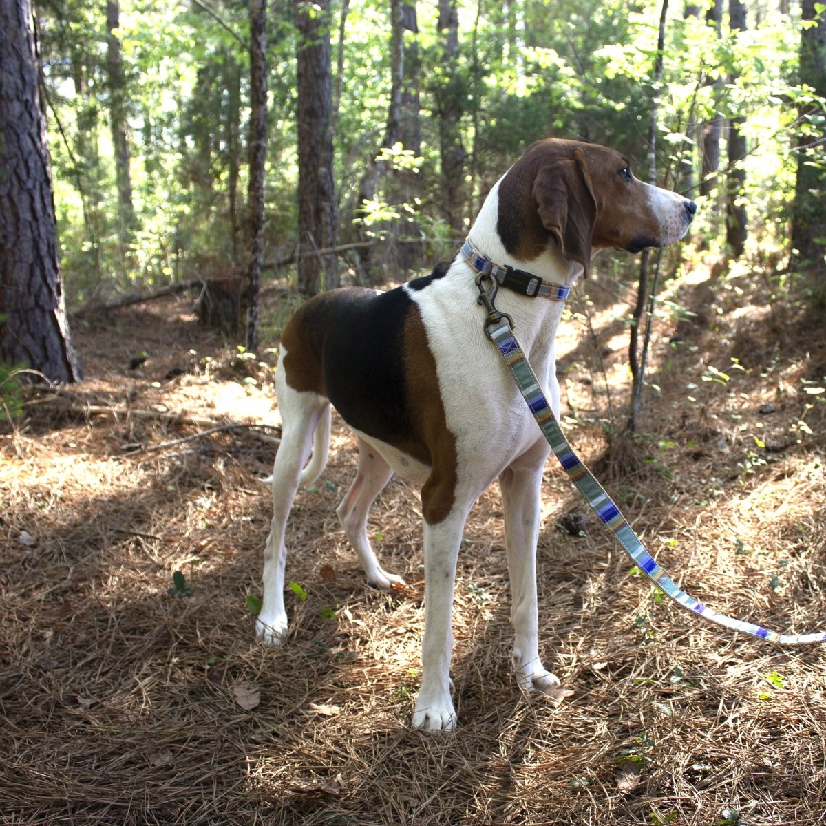 Pendleton National Park Hiker Collar