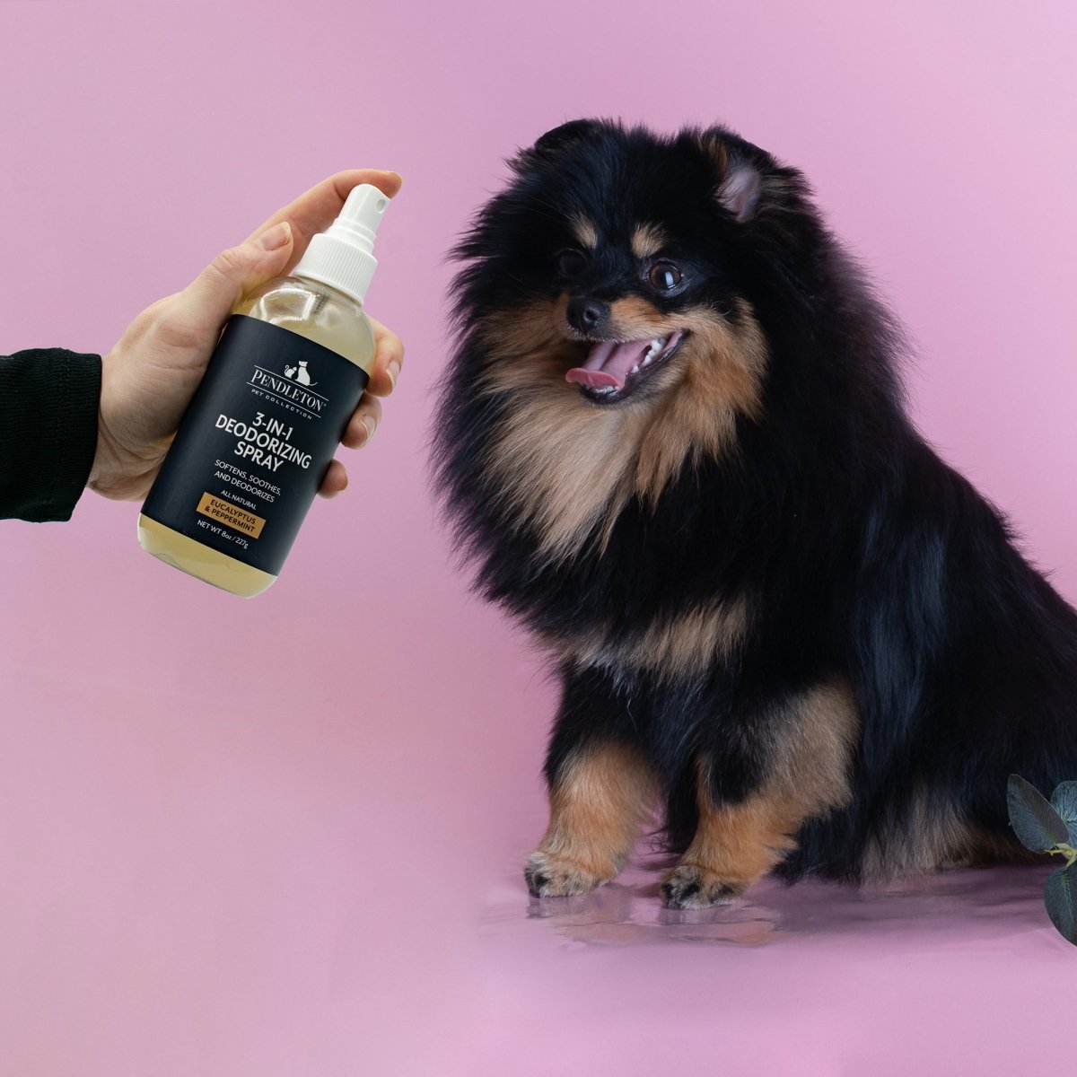 Pendleton Pet Grooming Set with FREE Brush!