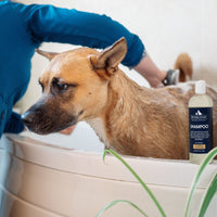 Pendleton Pet Grooming Set with FREE Brush!