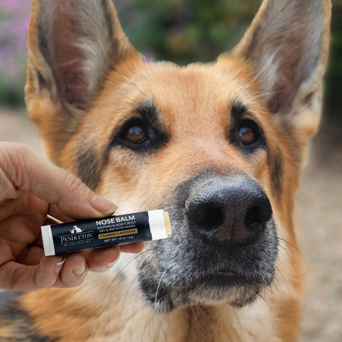 Pendleton Pet Nose Balm