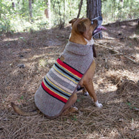 Pendleton Vintage Camp Dog Jacket