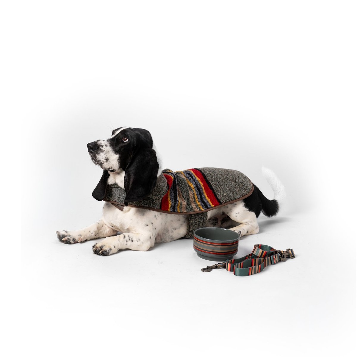 Pendleton Vintage Camp Dog Jacket