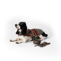 Pendleton Vintage Camp Dog Jacket