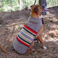 Pendleton Vintage Camp Dog Coat