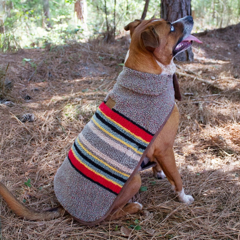 Pendleton Vintage Camp Dog Coat