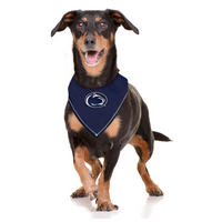 Penn State Nittany Lions Tie-On Bandana