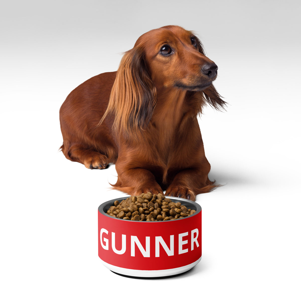 Arsenal FC 24/25 Kit Inspired Pet bowl - Small 18 oz