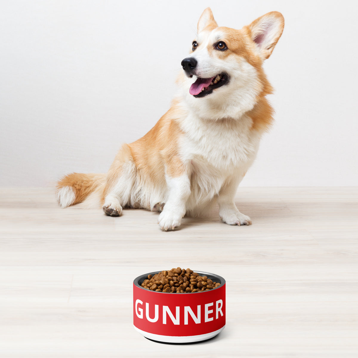 Arsenal FC 24/25 Kit Inspired Pet bowl - Small 18 oz