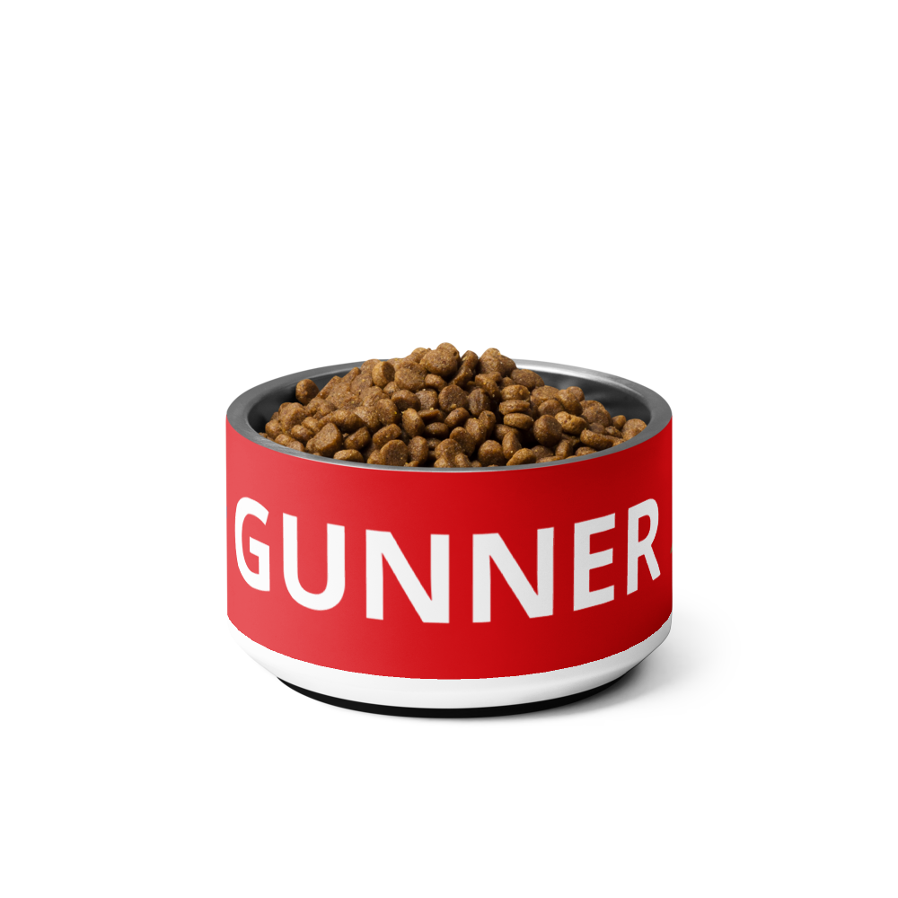 Arsenal FC 24/25 Kit Inspired Pet bowl - Small 18 oz