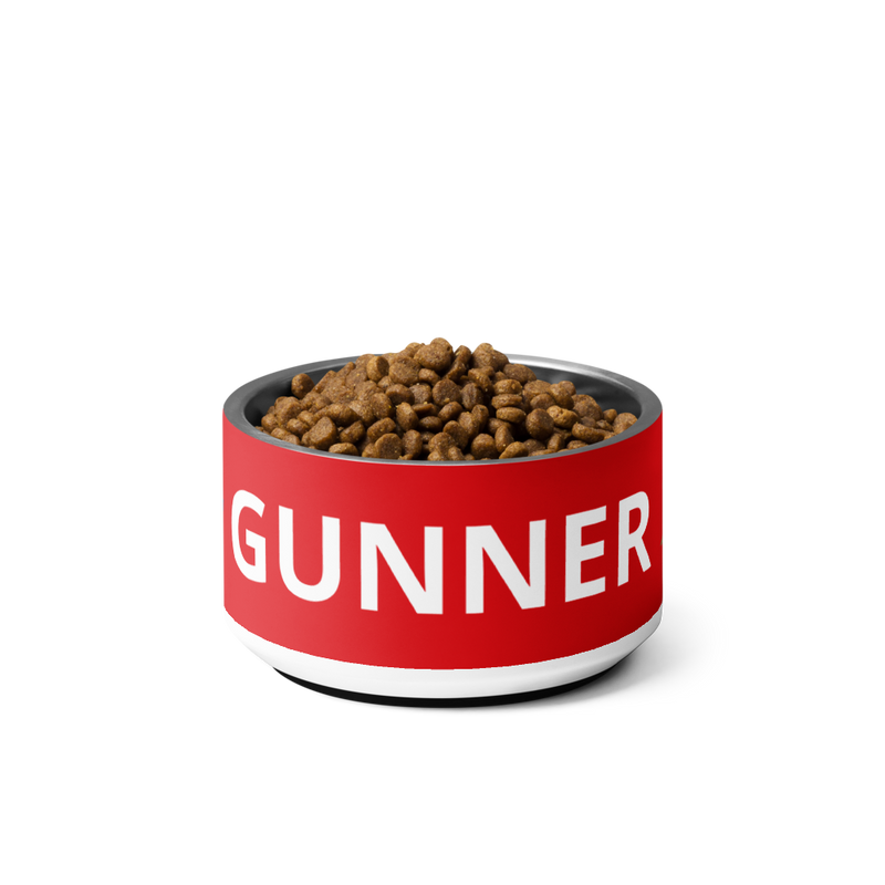 Arsenal FC 24/25 Kit Inspired Pet bowl - Small 18 oz