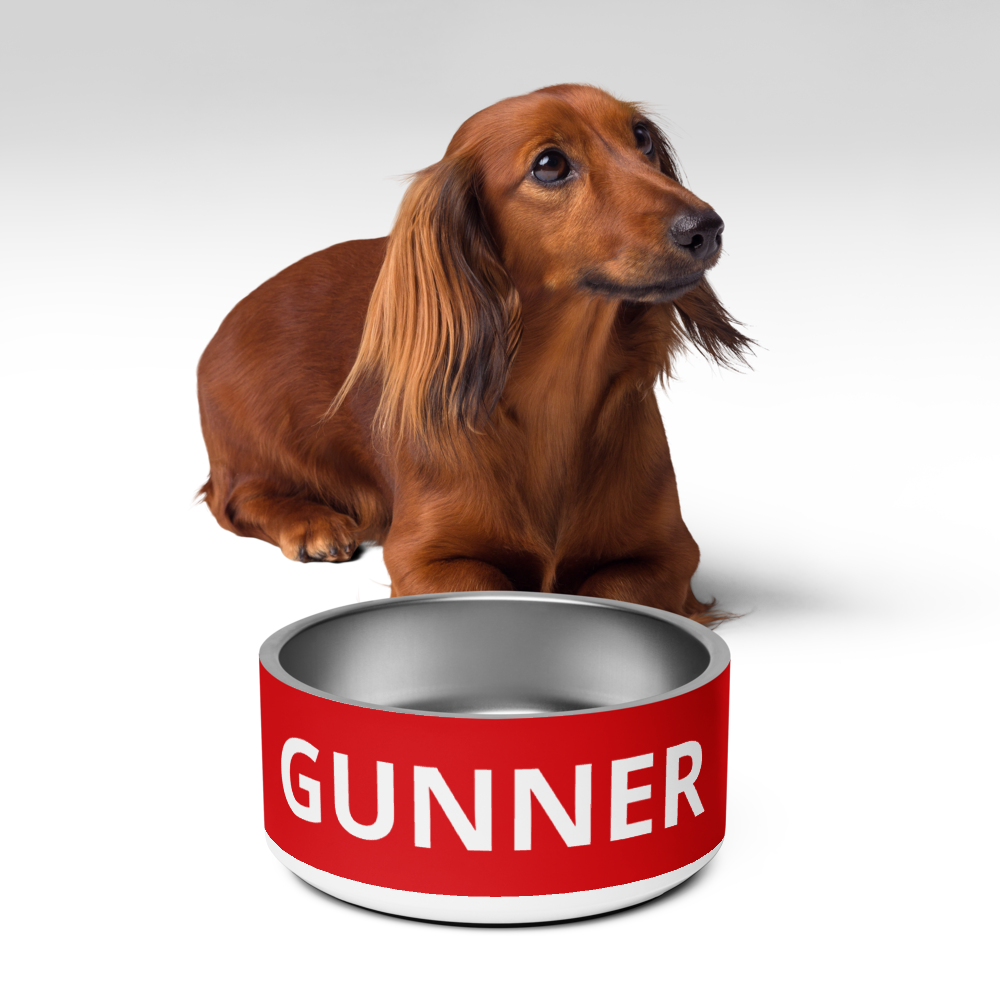 Arsenal FC 24/25 Kit Inspired Pet bowl - Large 32 oz