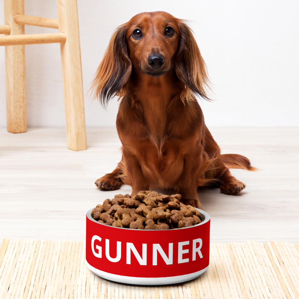 Arsenal FC 24/25 Kit Inspired Pet bowl - Large 32 oz