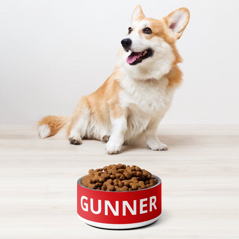 Arsenal FC 24/25 Kit Inspired Pet bowl - Large 32 oz