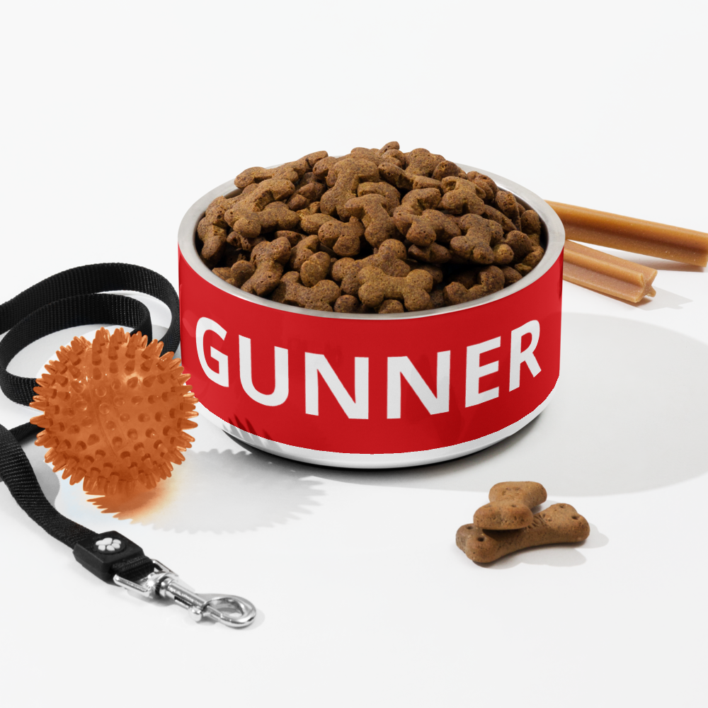 Arsenal FC 24/25 Kit Inspired Pet bowl - Large 32 oz