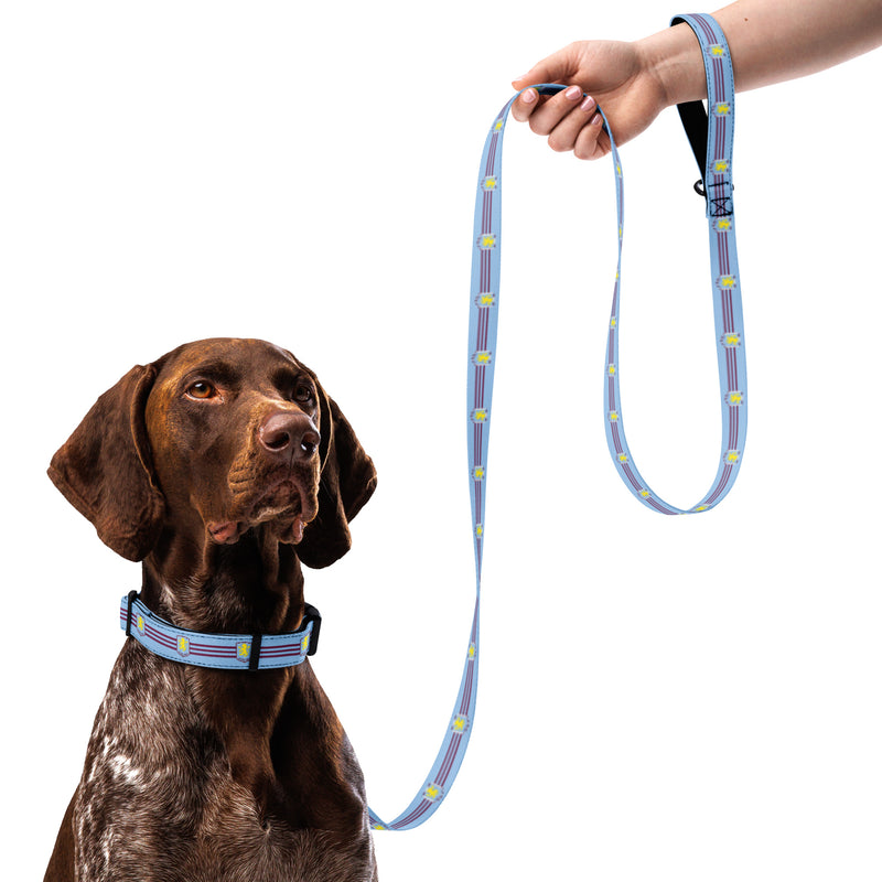 Aston Villa FC 24/25 Kit Inspired Pet collar & leash