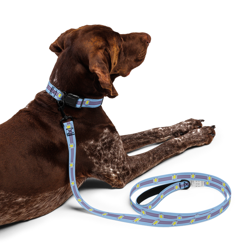 Aston Villa FC 24/25 Kit Inspired Pet collar & leash