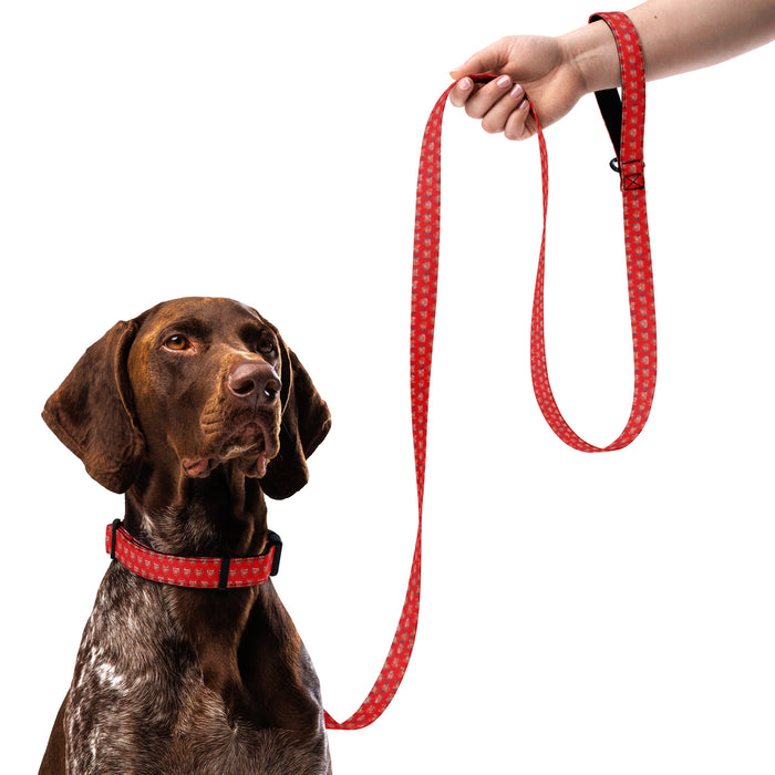 Arsenal FC 25/26 Team-Inspired Pet Leash