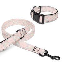 Ellie Mae Dreams Pet collar & leash