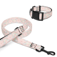 Ellie Mae Dreams Pet collar & leash