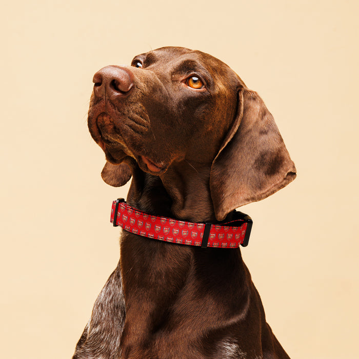 Arsenal FC 25/26 Team-Inspired Pet Collar