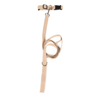 Pet Leash- Checkered Wave