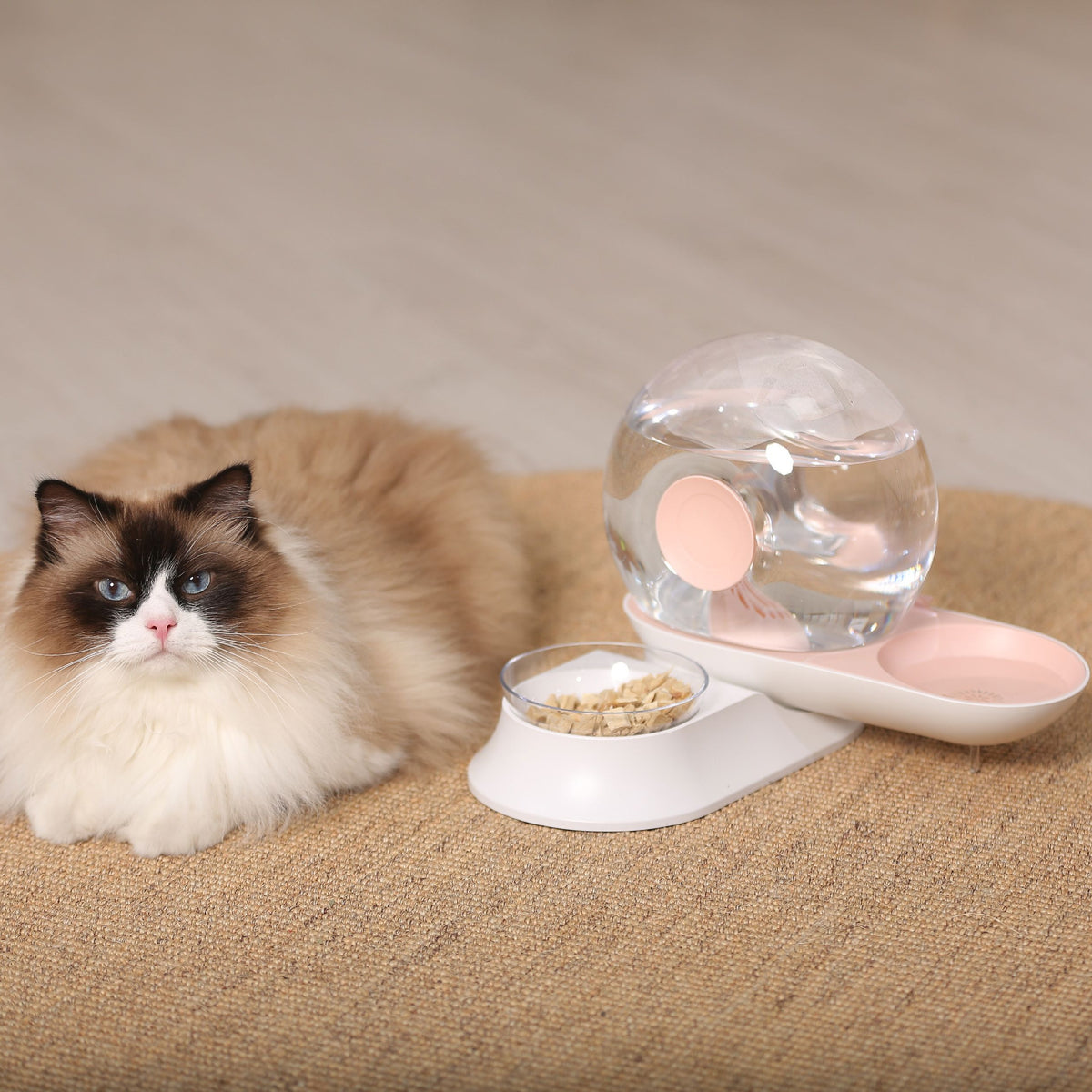 Pet Life ® 'Auto-Myst' Snail Shaped 2-in-1 Automated Gravity Pet Filtered Water Dispenser and Food Bowl