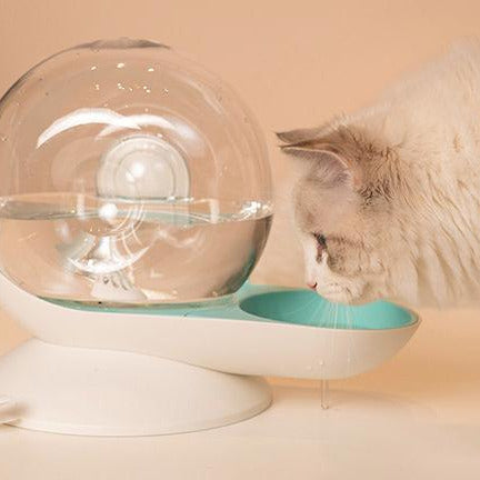 Pet Life ® 'Auto-Myst' Snail Shaped 2-in-1 Automated Gravity Pet Filtered Water Dispenser and Food Bowl