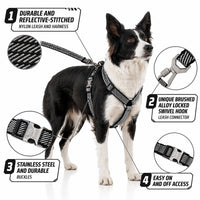 Pet Life ® 'Escapade' Outdoor Series 2-in-1 Convertible Dog Leash and Harness