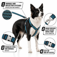 Pet Life ® 'Escapade' Outdoor Series 2-in-1 Convertible Dog Leash and Harness