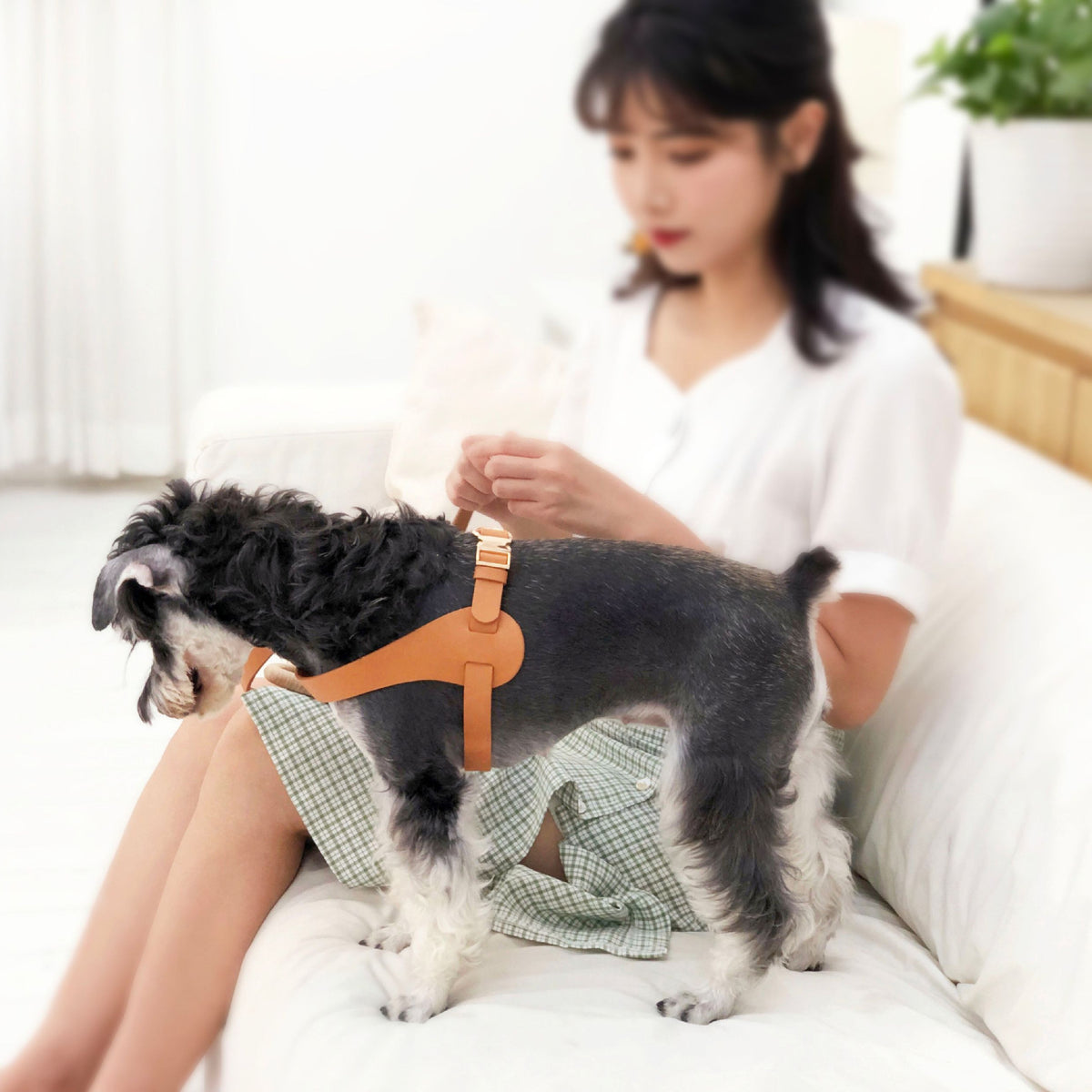 Pet Life ® 'Ever-Craft' Boutique Series Adjustable Designer Leather Dog Harness