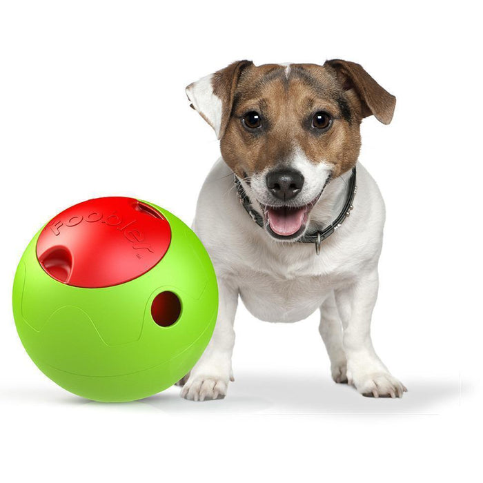 Pet Life ® 'Foobler' Self-Timing and Reloading Automatic Puzzle Dog Food Dispenser