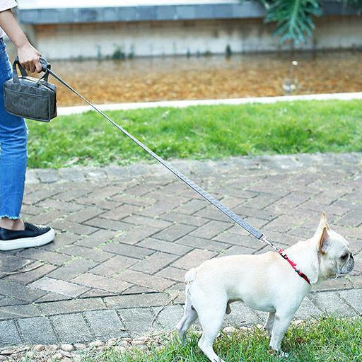 Pet Life ® 'Posh Walk' Purse Dog Leash, Accessory Holder and Waste Bag Dispenser