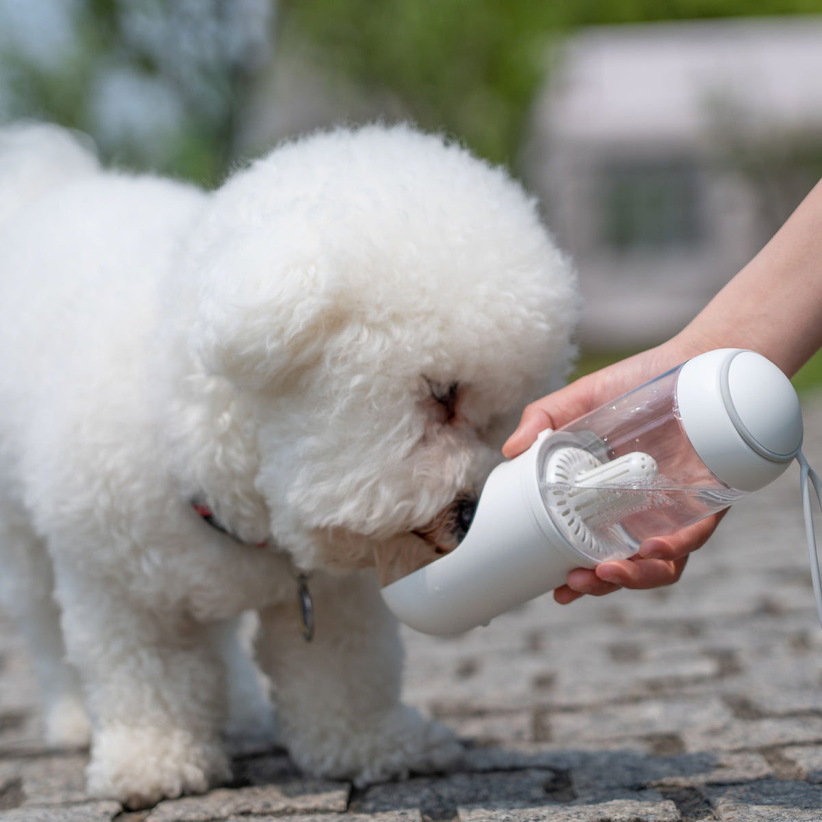 Pet Life ® 'PYURE' Handheld Travel Filtered Water Feeder
