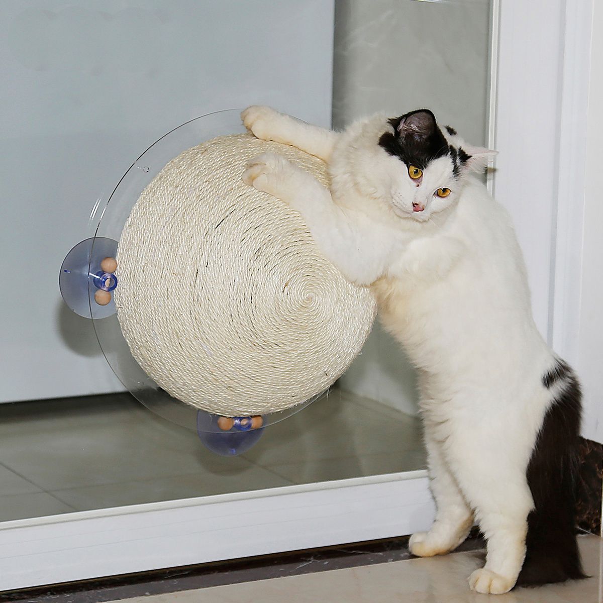 Pet Life ® 'Stick N' Claw' Sisal Rope and Toy Suction Cup Circular Cat Scratcher