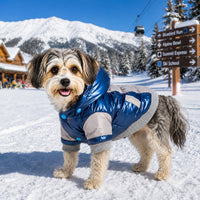 Pet Life ® 'Vintage Aspen' 3M Insulated Sporty Ski Dog Jacket w/ Removable Hood