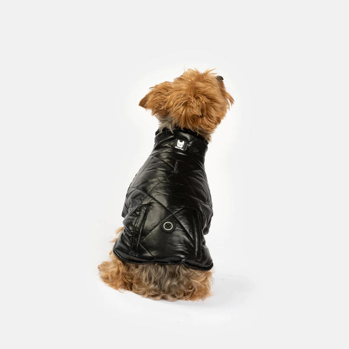 Phoenix Faux Leather Jacket - Black