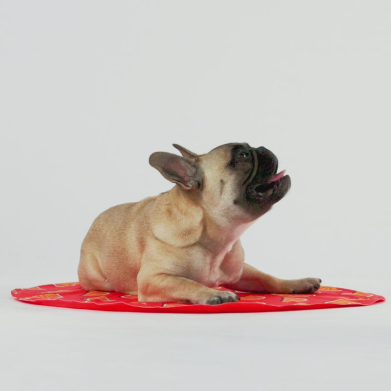 GF Pet Ice Mat
