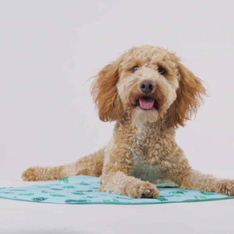 GF Pet Ice Mat