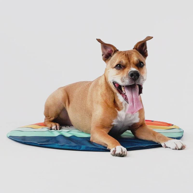 GF Pet Ice Mat