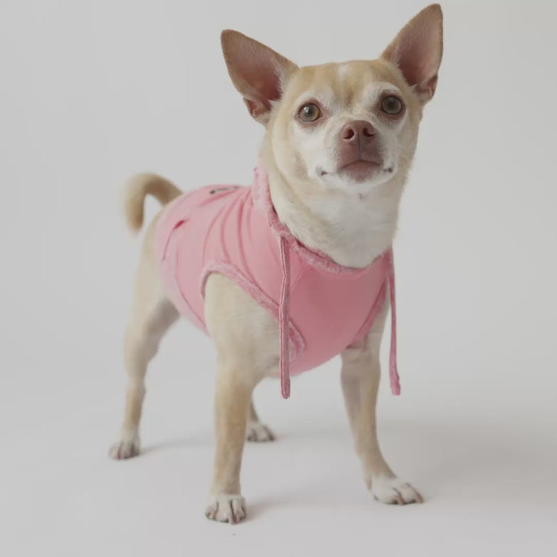 Urban Fit Pet Hoodie - Pink