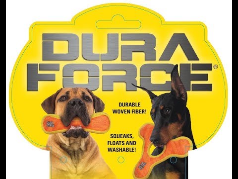 DuraForce Fish Tough Toy