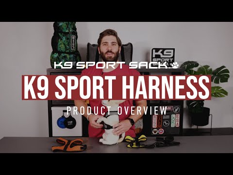 K9 Sport Harness