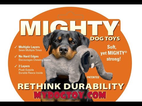 Mighty Ocean Series - Dolly Dolphin Tough Toy