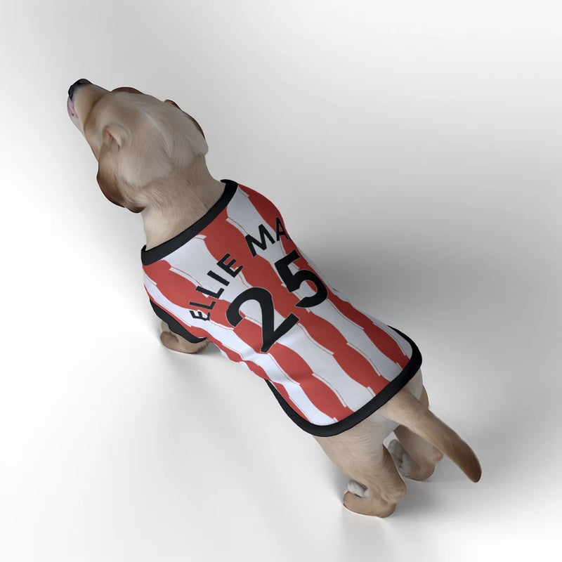 Sunderland AFC 25/26 Home Kit Inspired Personalized Tank