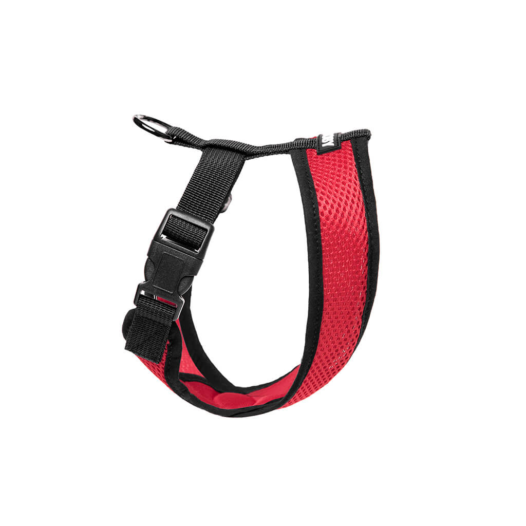 Comfort X Harness
