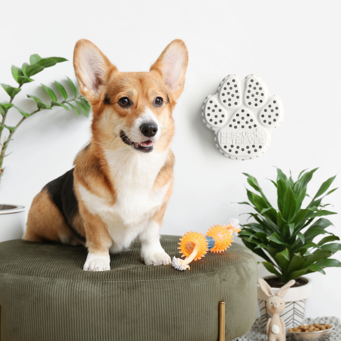 Pawtection Essential Bundle