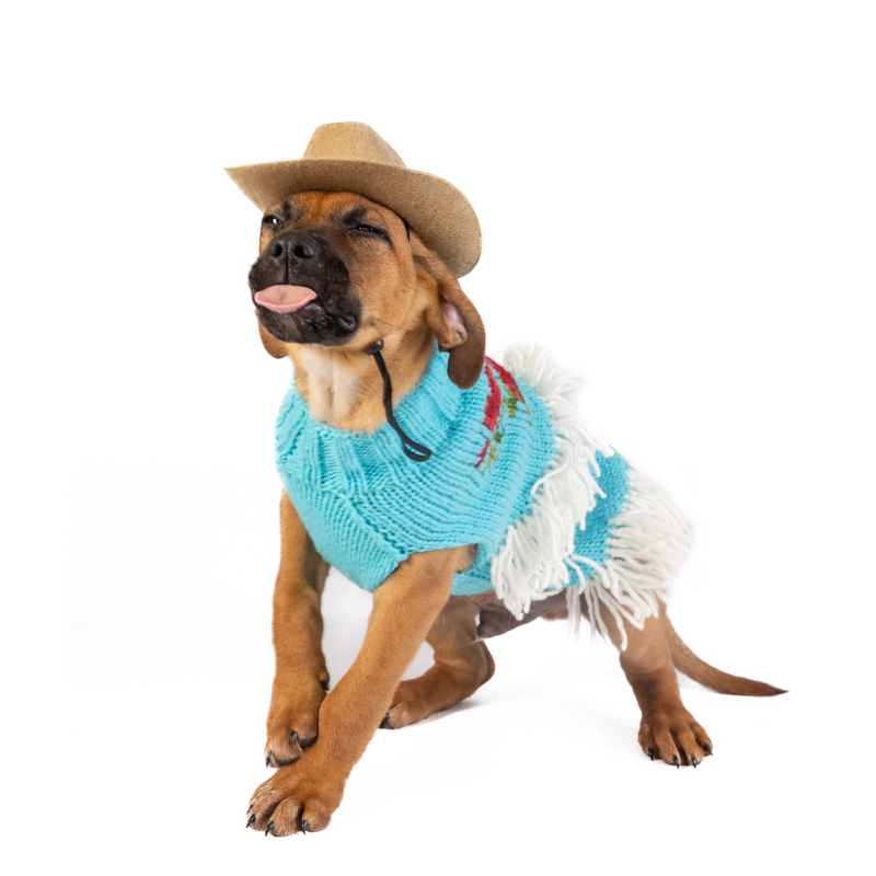 Rodeo Dress Sweater