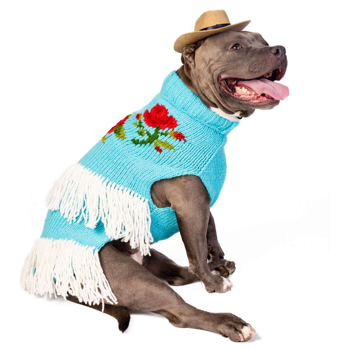 Rodeo Dress Sweater